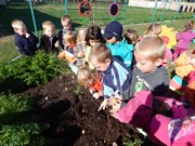 Sklízíme úrodu na zahrádce